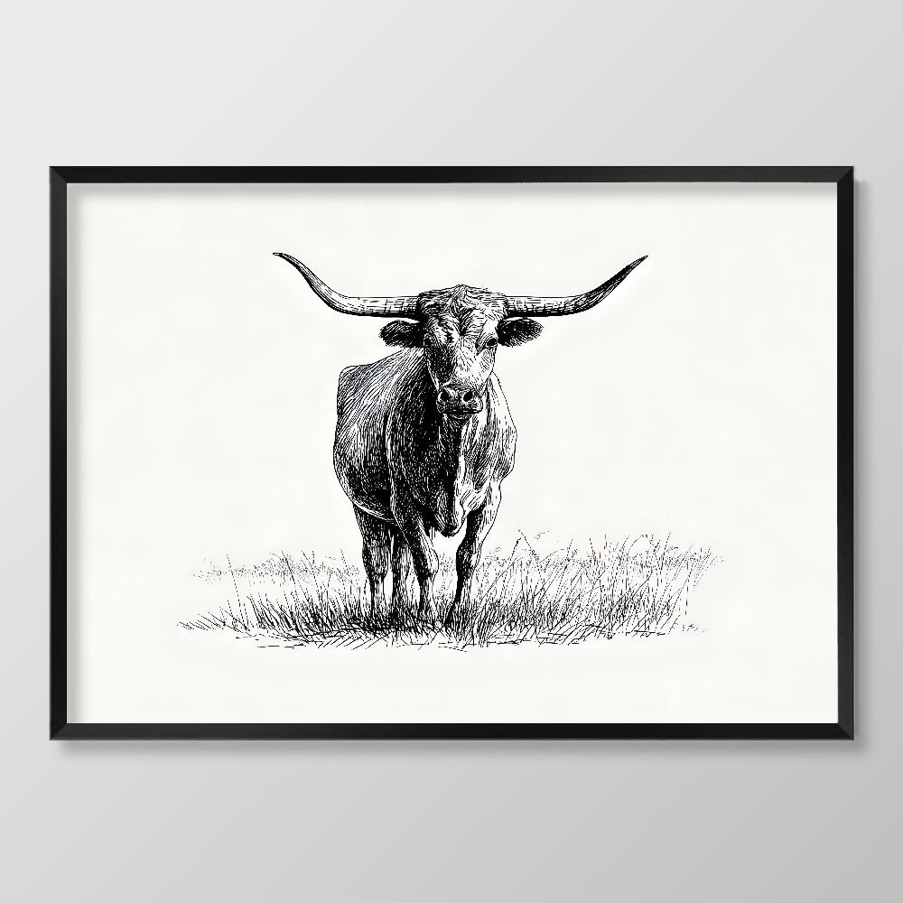 Longhorn Sketch