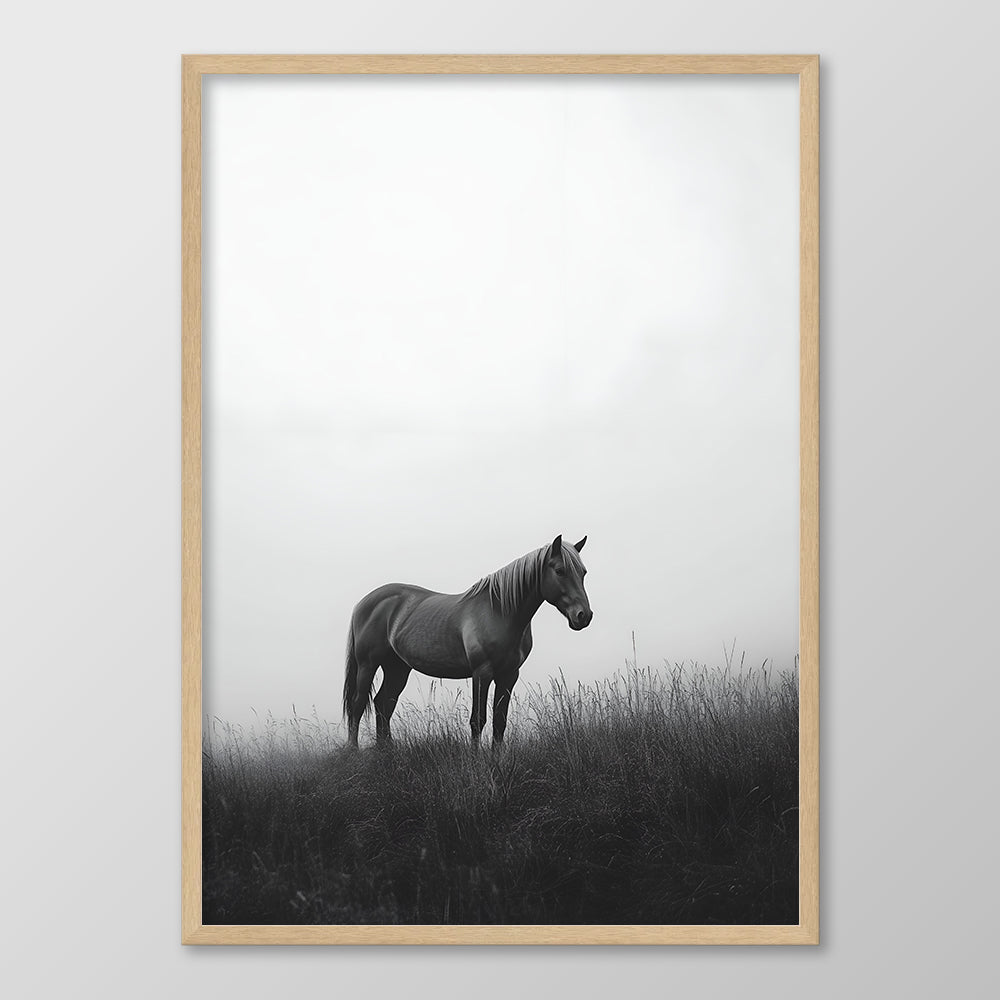 Misty Stallion