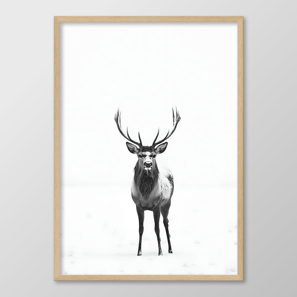Winter Stag