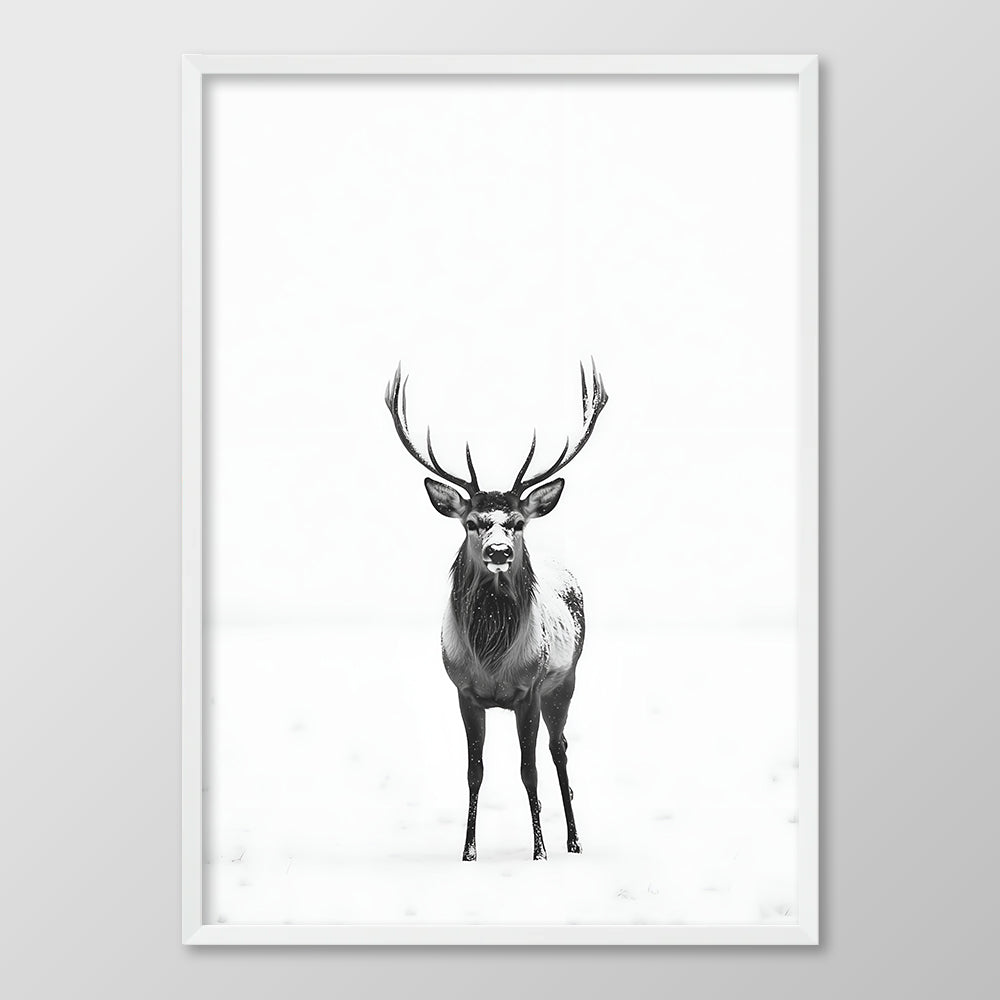 Winter Stag