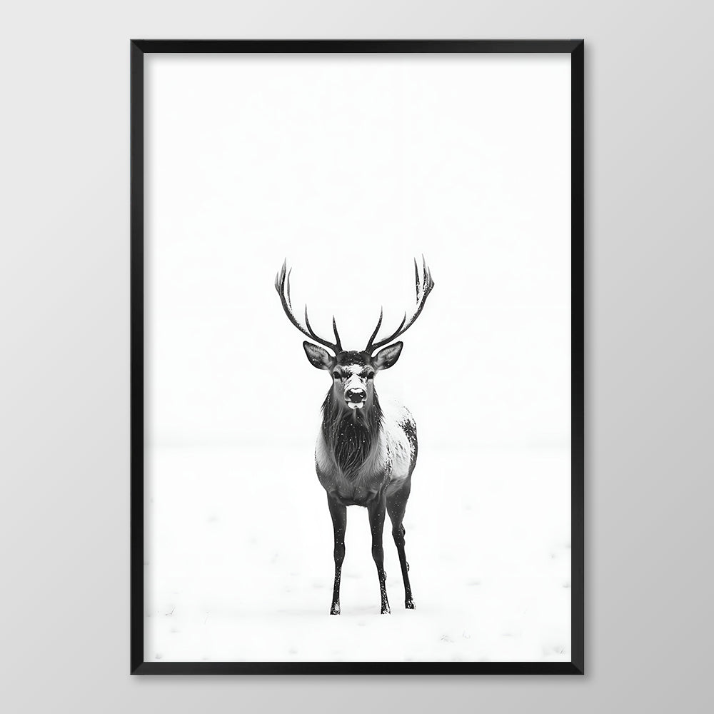 Winter Stag