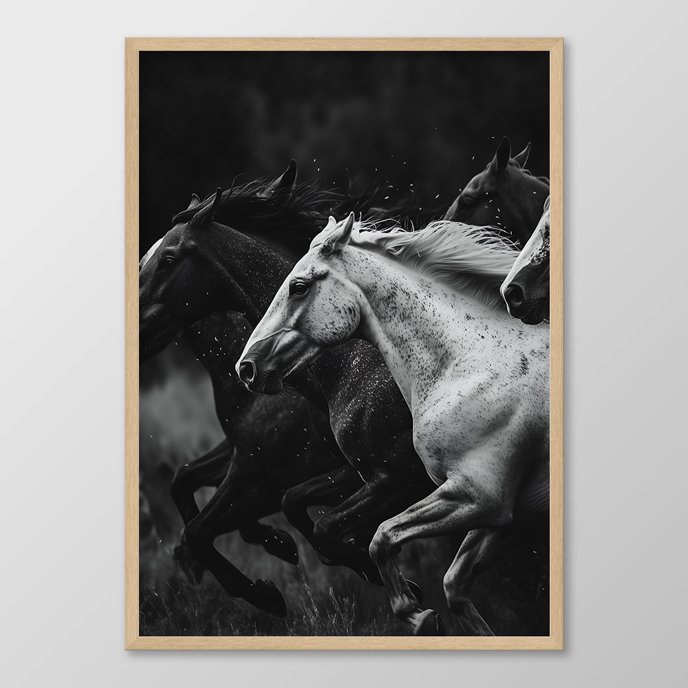 Gallop
