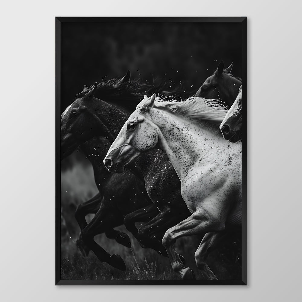 Gallop