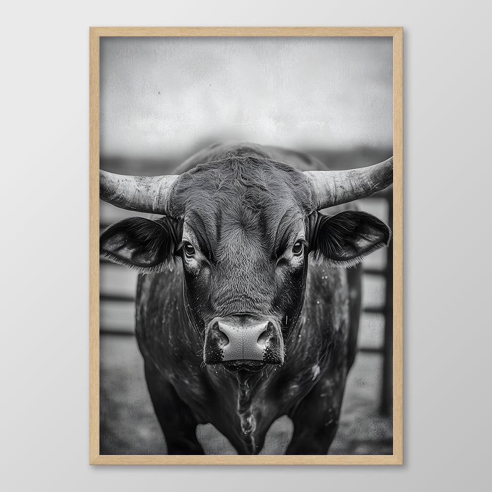 Bull's Gaze Black & White