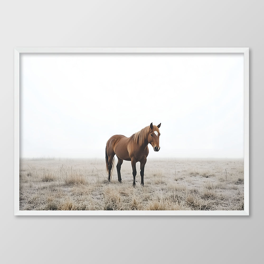 Foggy Morning Horse