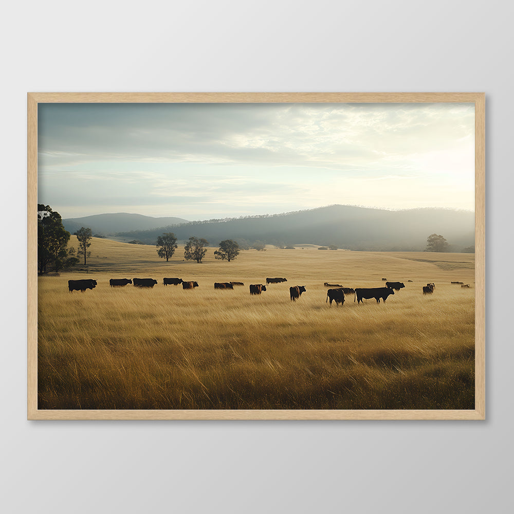 Grazing Cattle