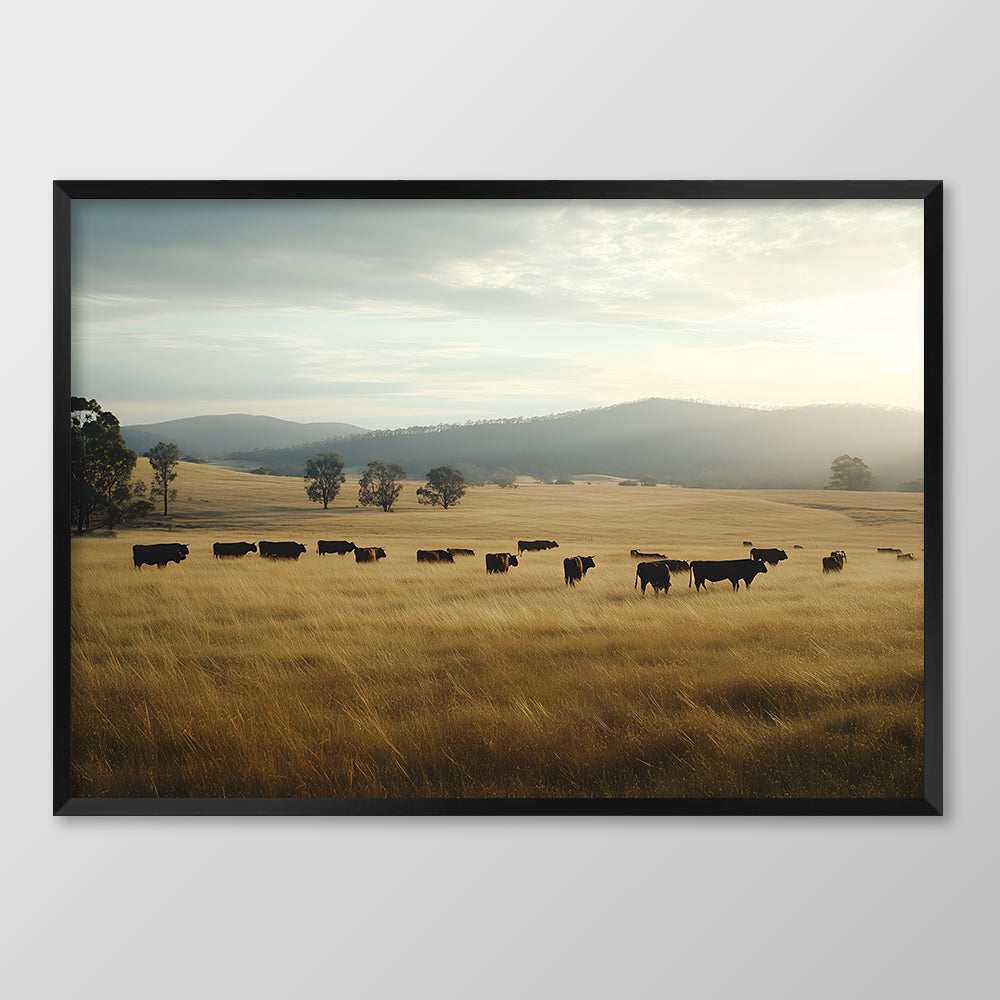 Grazing Cattle