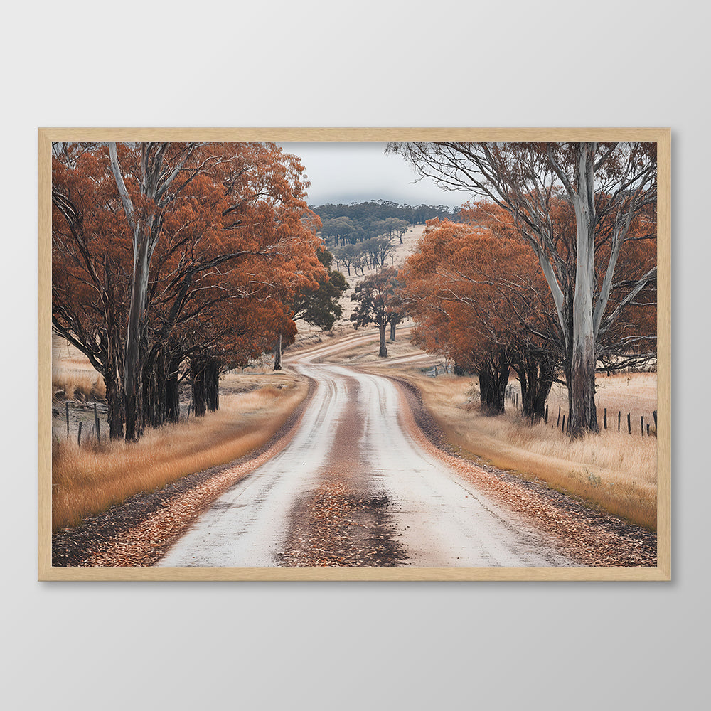 Cold Autumn Road