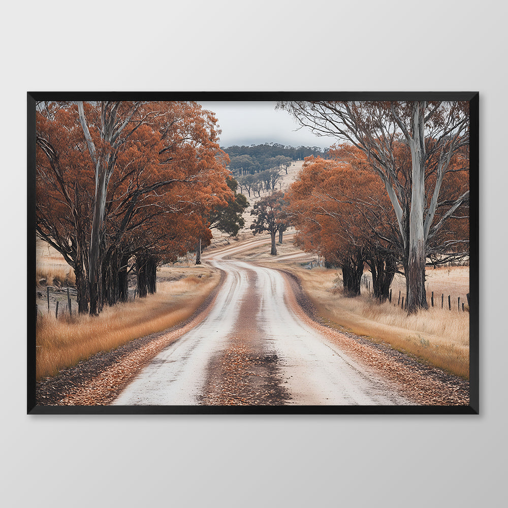 Cold Autumn Road