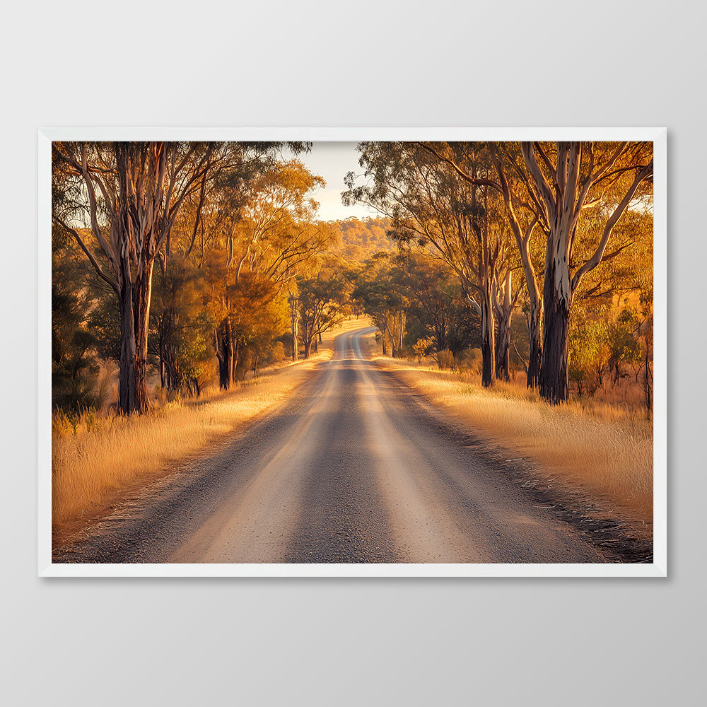 Tree Lined Road