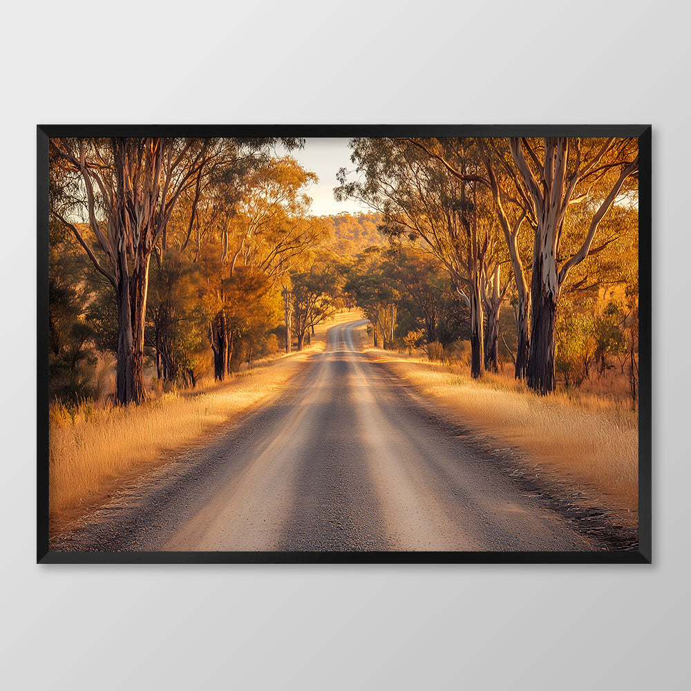 Tree Lined Road
