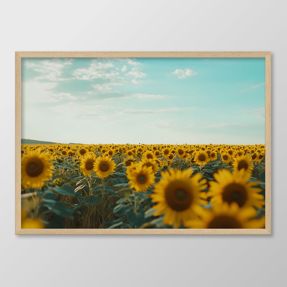 Sunflower Sea