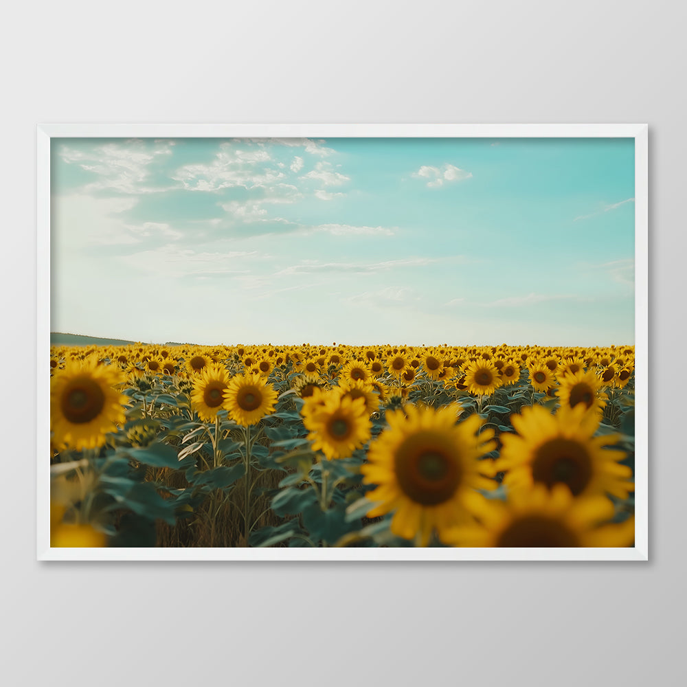 Sunflower Sea