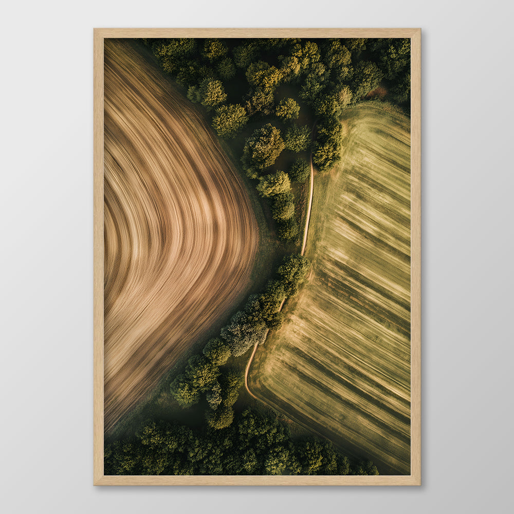 British Fields