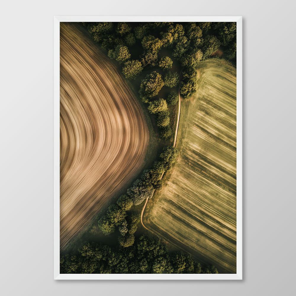 British Fields