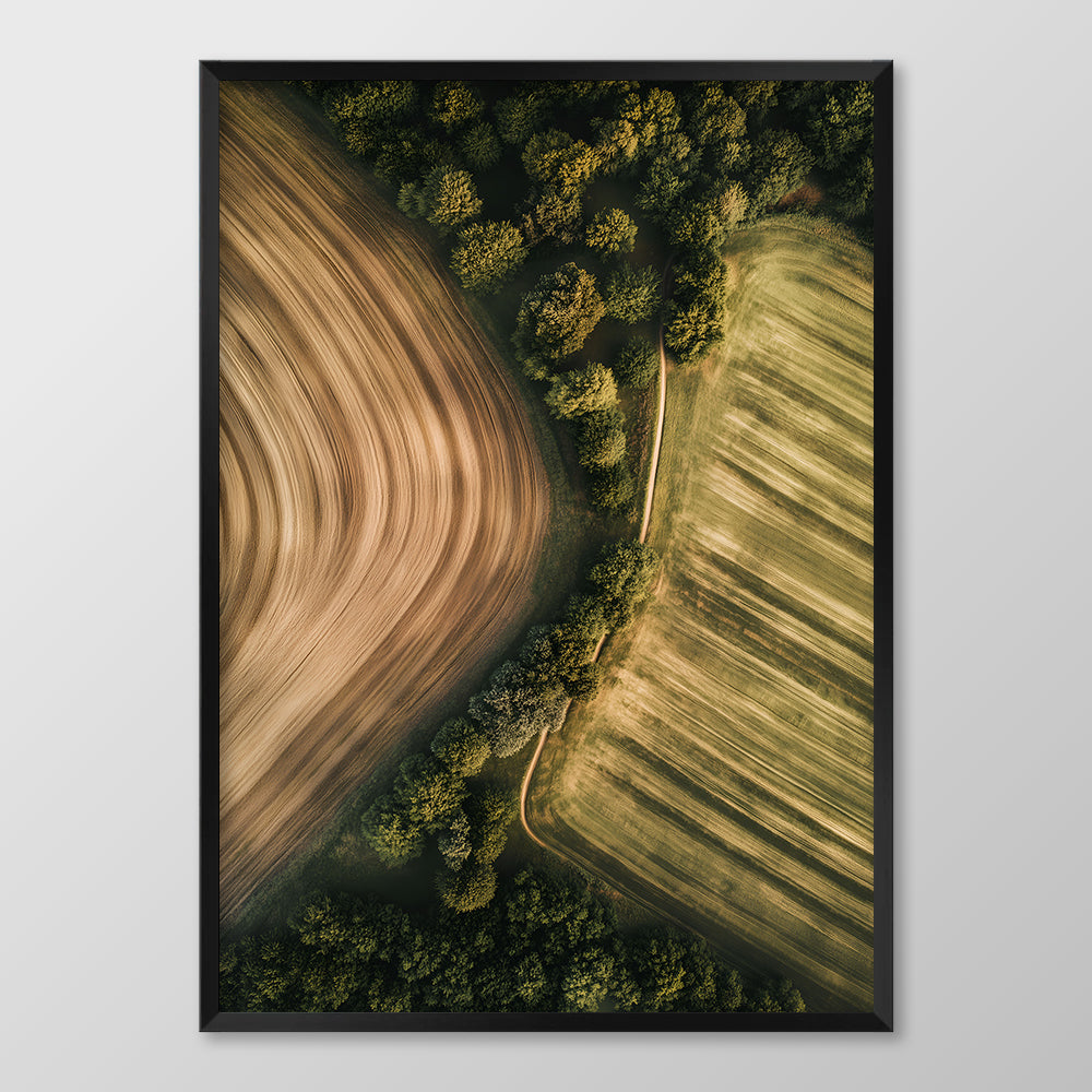 British Fields