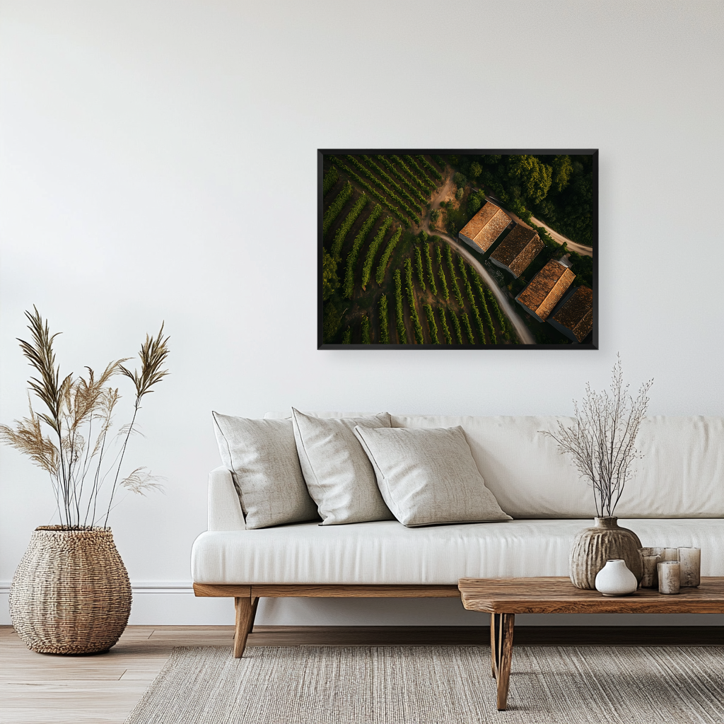 Spanish Vineyard