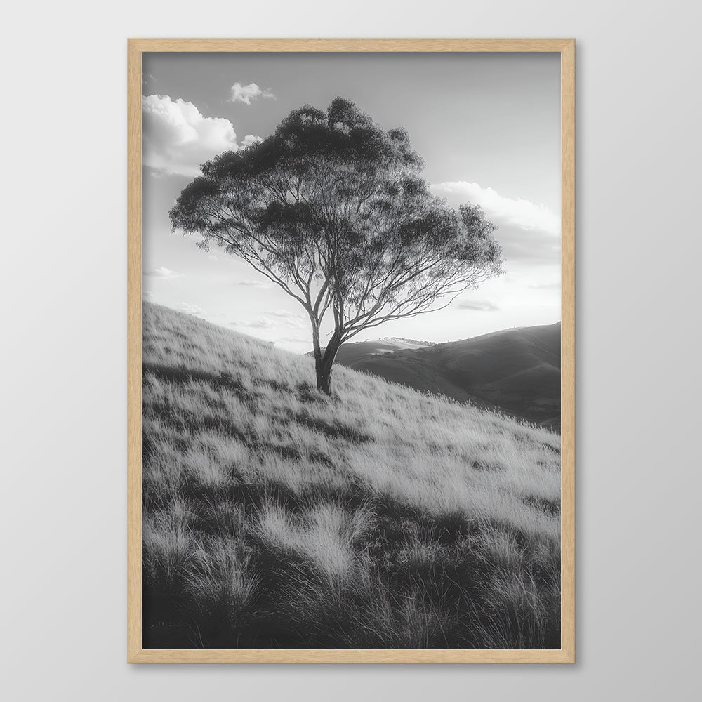 Solitary Tree