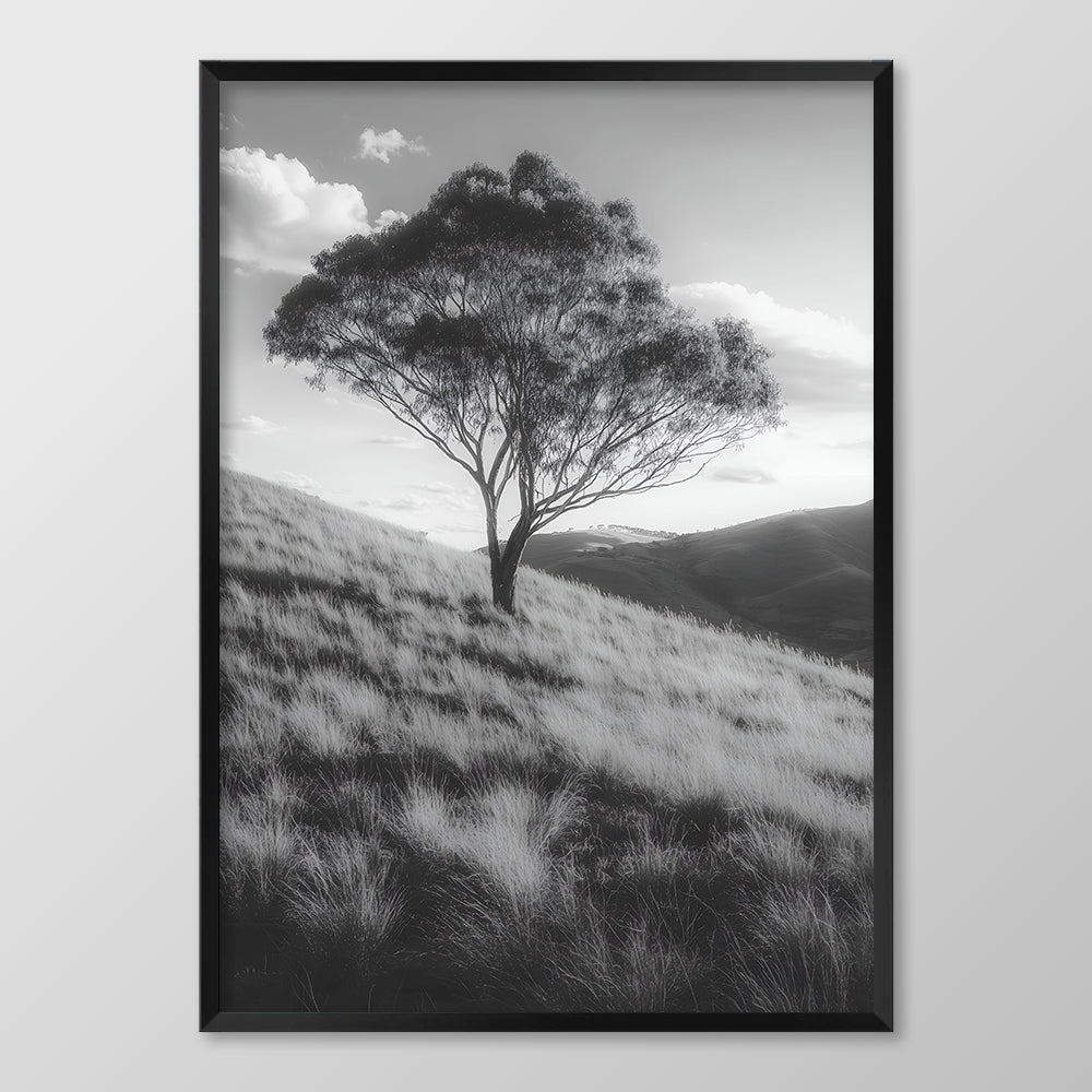 Solitary Tree