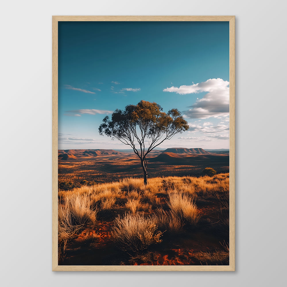 Sunset on the Hill