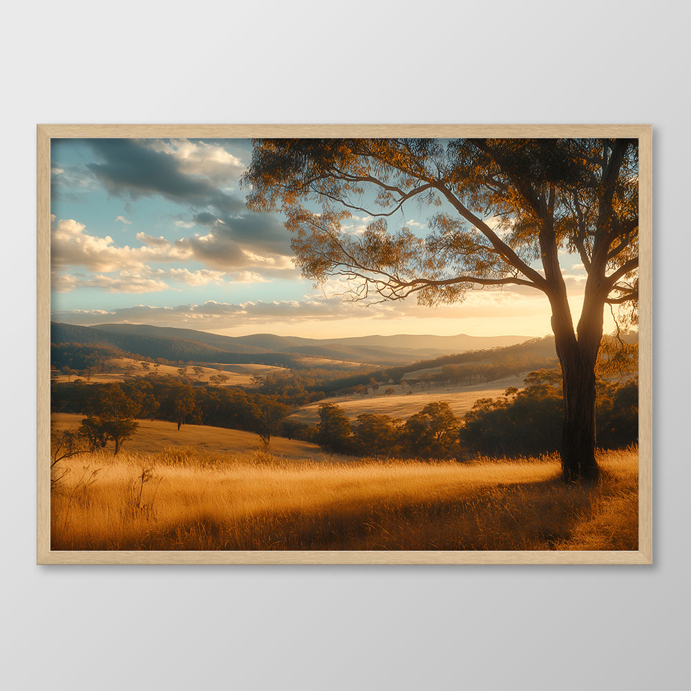Sunset Plains