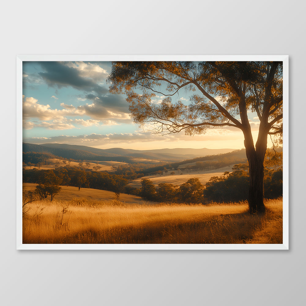 Sunset Plains