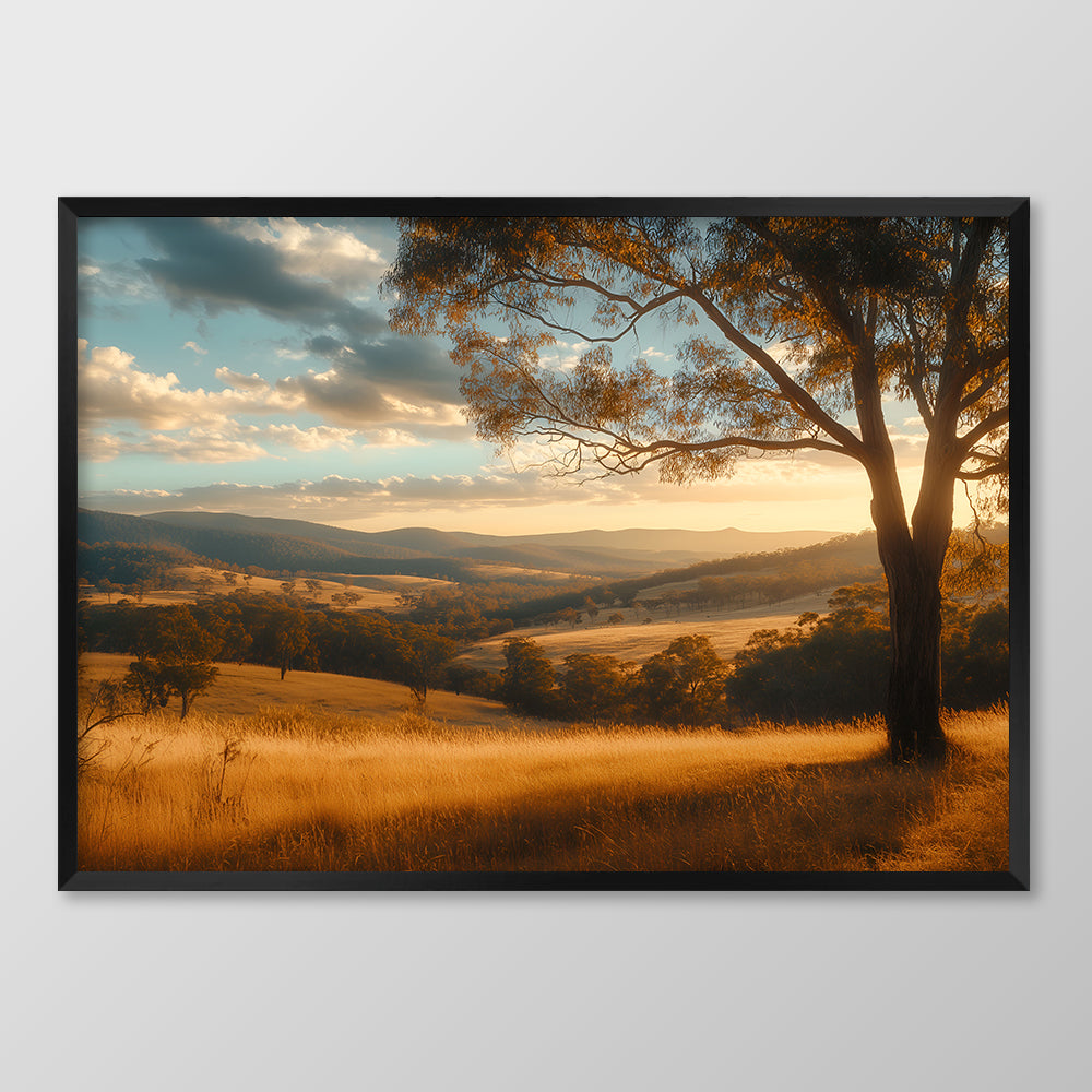 Sunset Plains