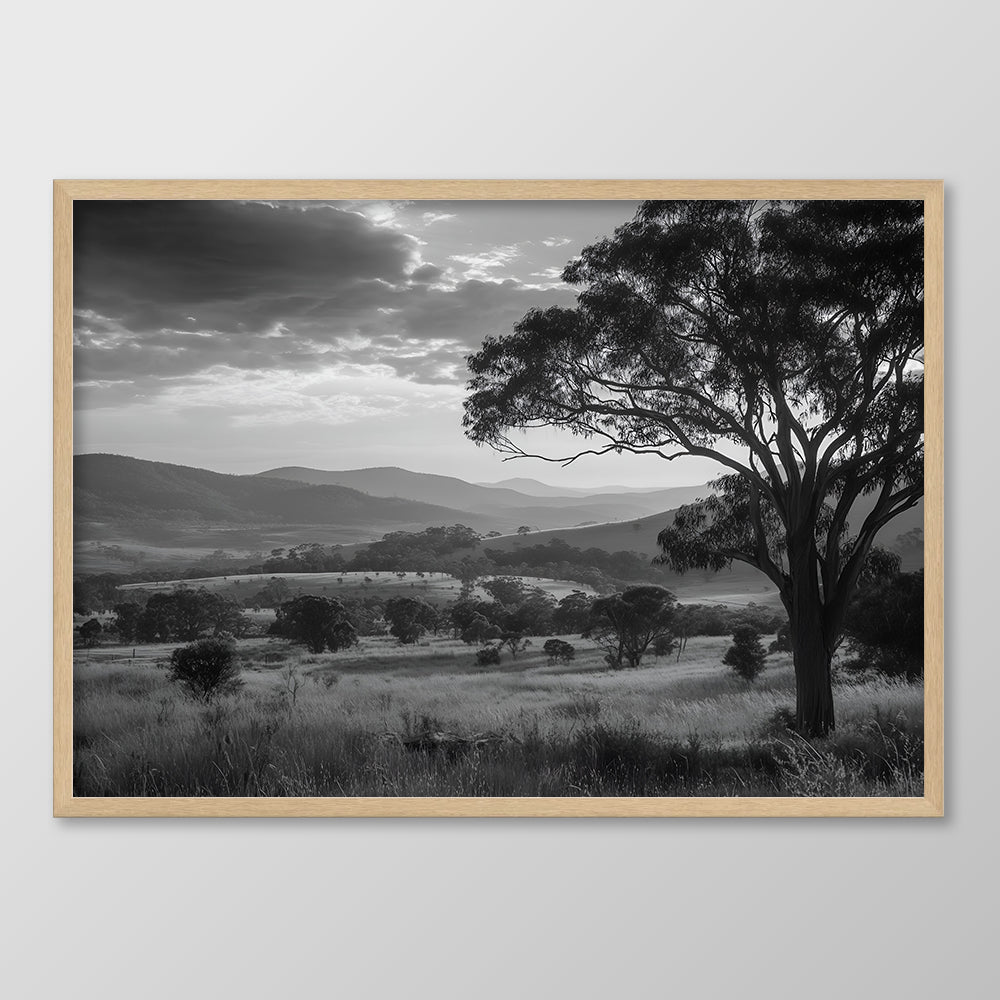 Valley