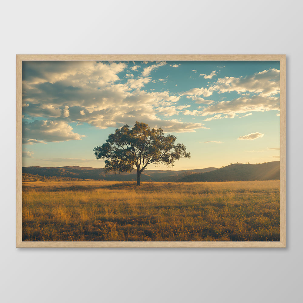 Lone Tree in the Light