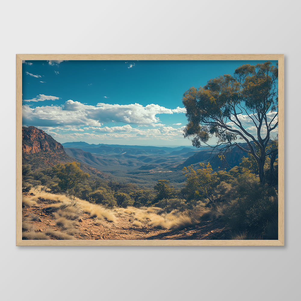 Vast Wilderness