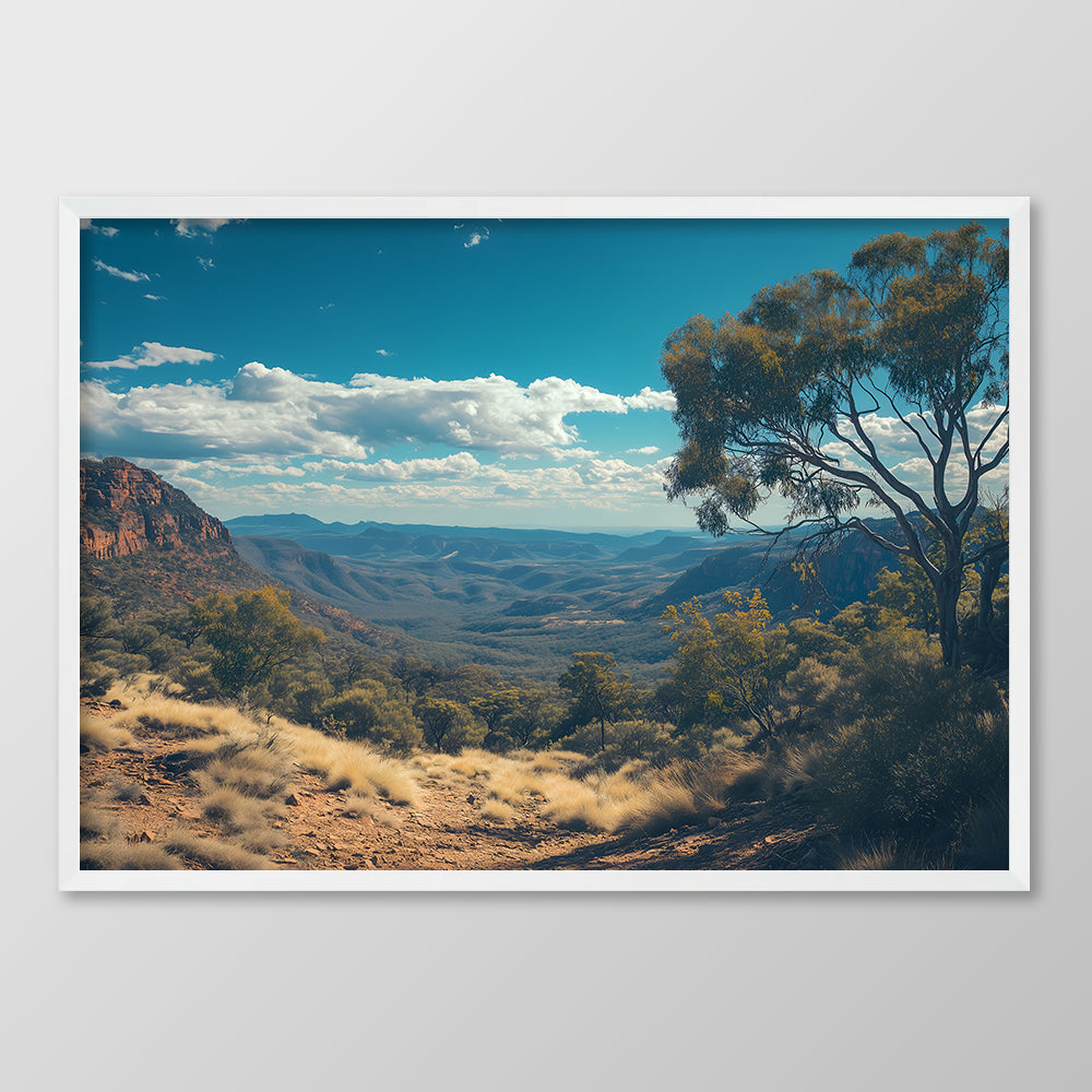 Vast Wilderness