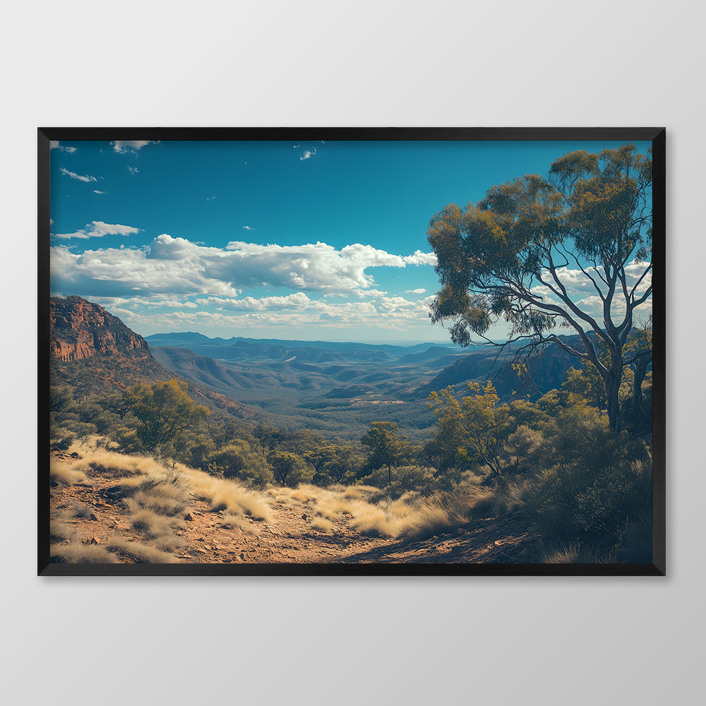 Vast Wilderness
